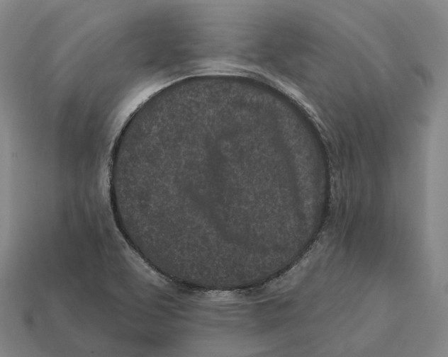 X0000113101463200909251021