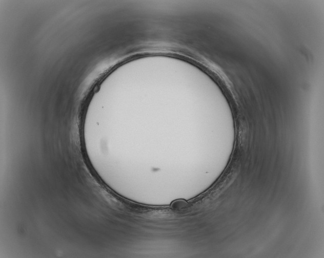 X0000113101464200909251021