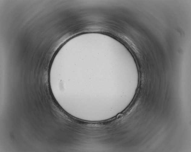 X0000113101465200909251021