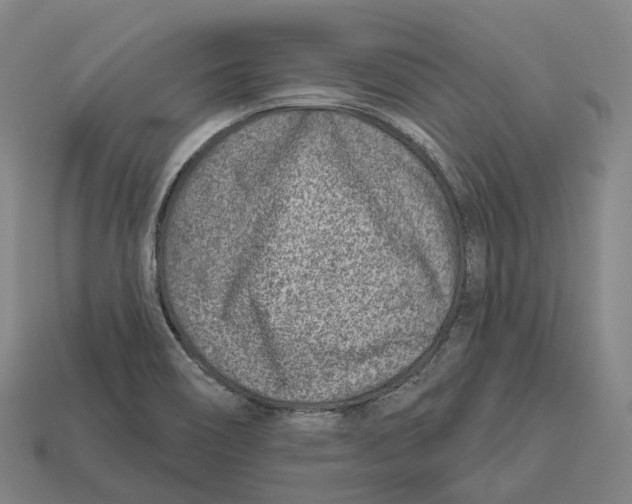 X0000113101466200909251021