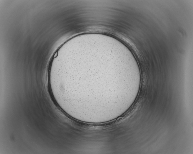 X0000113101467200909251021