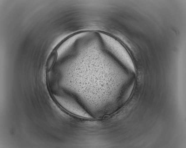 X0000113101468200909251021