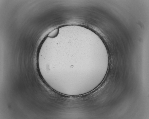 X0000113101469200909251021