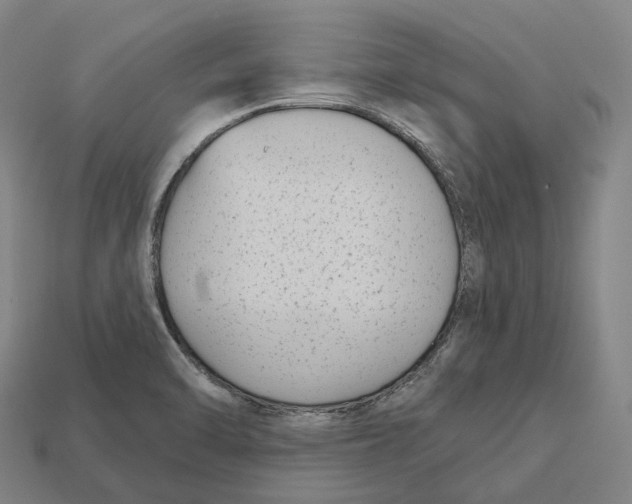 X0000113101470200909251021