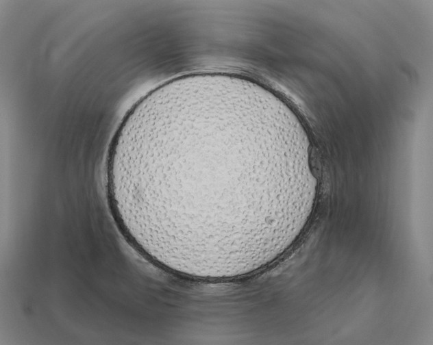 X0000113101471200909251021