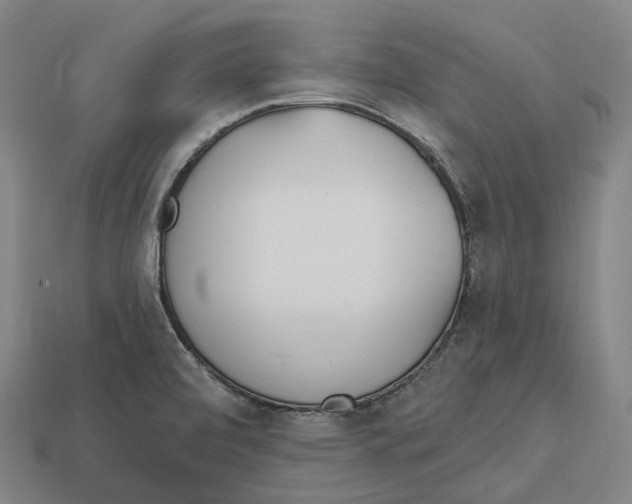 X0000113101472200909251021