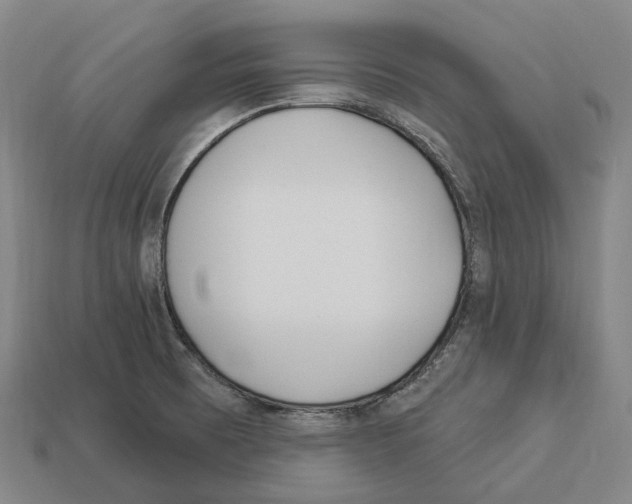 X0000113101473200909251021
