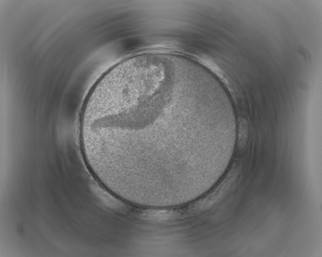 X0000113101474200909251021