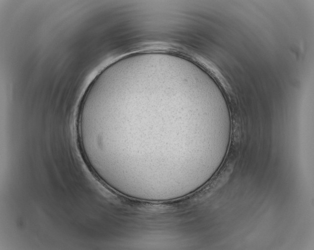 X0000113101475200909251021