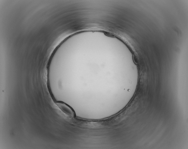 X0000113101476200909251021