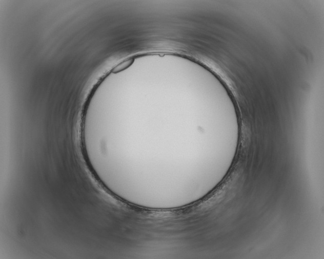X0000113101477200909251021