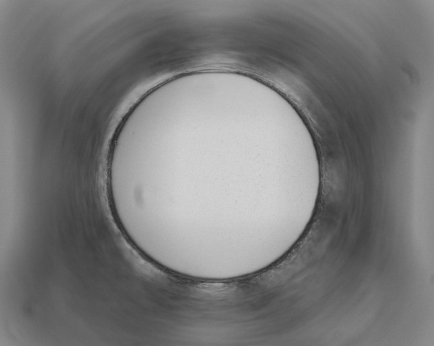 X0000113101478200909251021