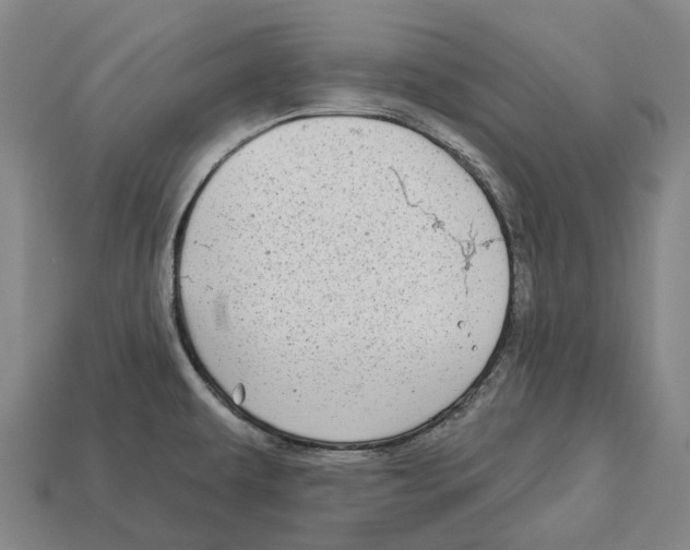 X0000113101479200909251021