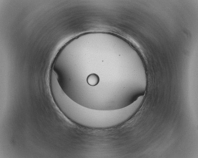 X0000113101480200909251021