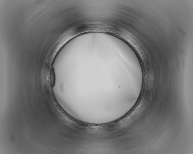 X0000113101481200909251021