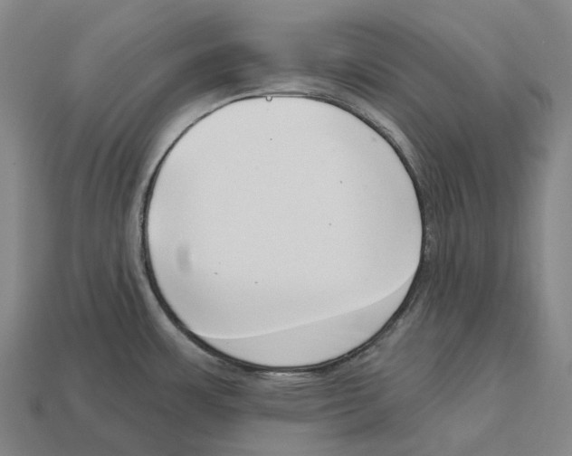 X0000113101483200909251021