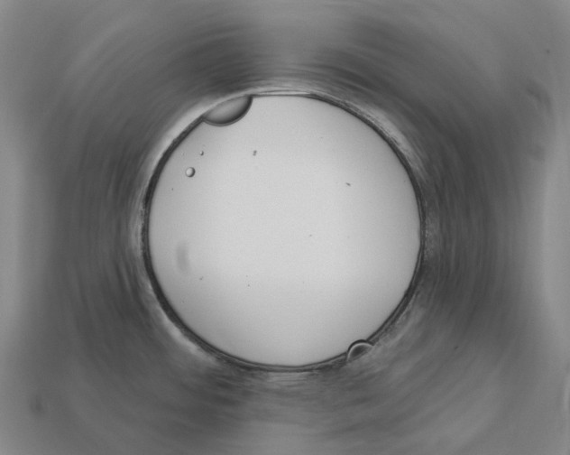 X0000113101484200909251021