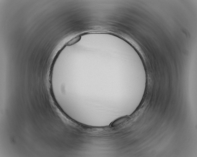 X0000113101485200909251021