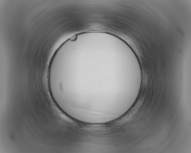 X0000113101486200909251021