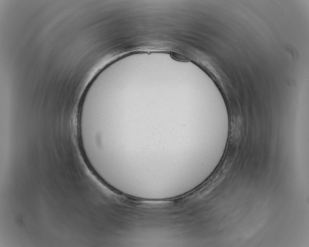 X0000113101487200909251021