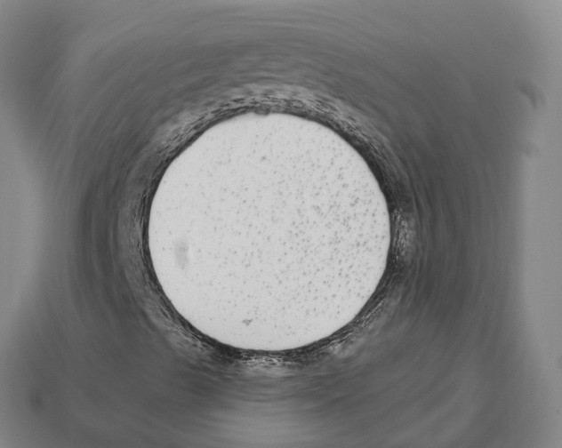 X0000113101489200909251020