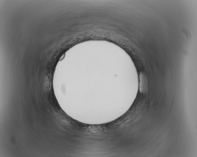 X0000113101491200909251020