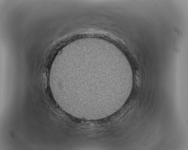 X0000113101493200909251020