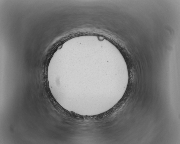 X0000113101494200909251020
