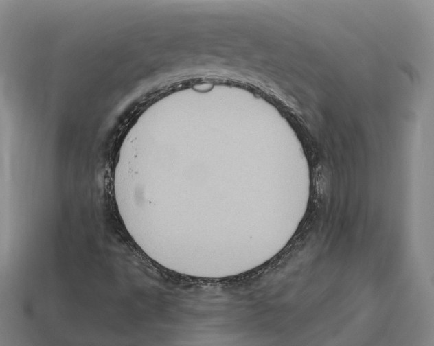 X0000113101495200909251020