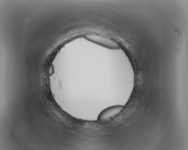 X0000113101496200909251020