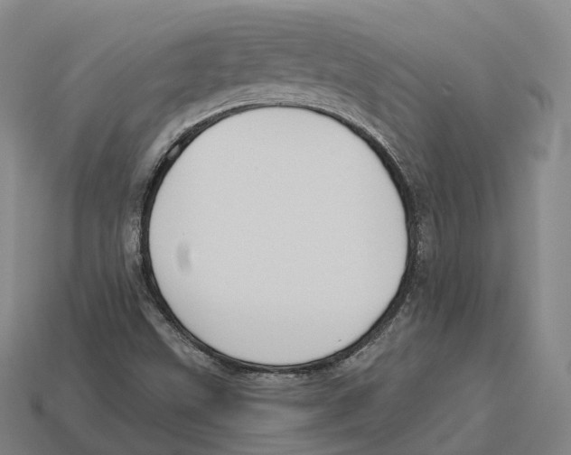 X0000113101499200909251020