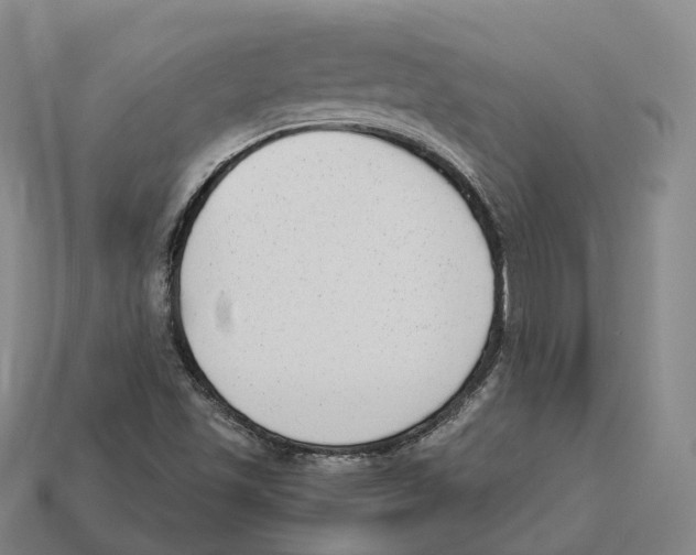 X0000113101501200909251020