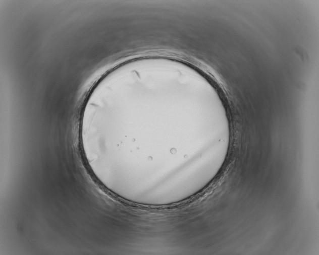 X0000113101504200909251020