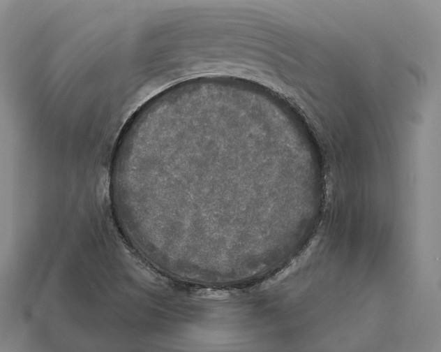 X0000113101505200909251020