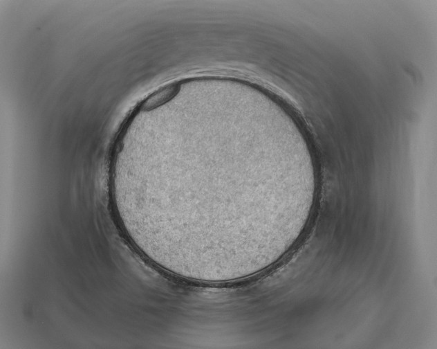 X0000113101506200909251021