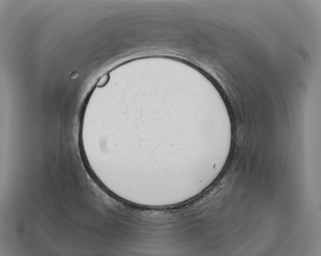 X0000113101508200909251021