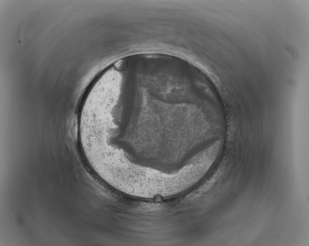 X0000113101509200909251021