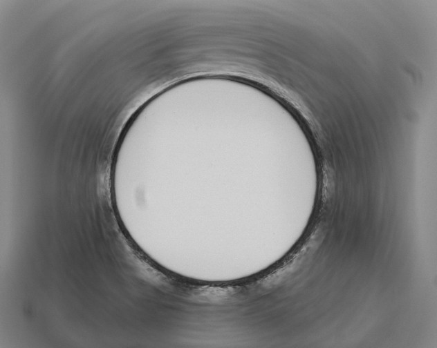 X0000113101513200909251021