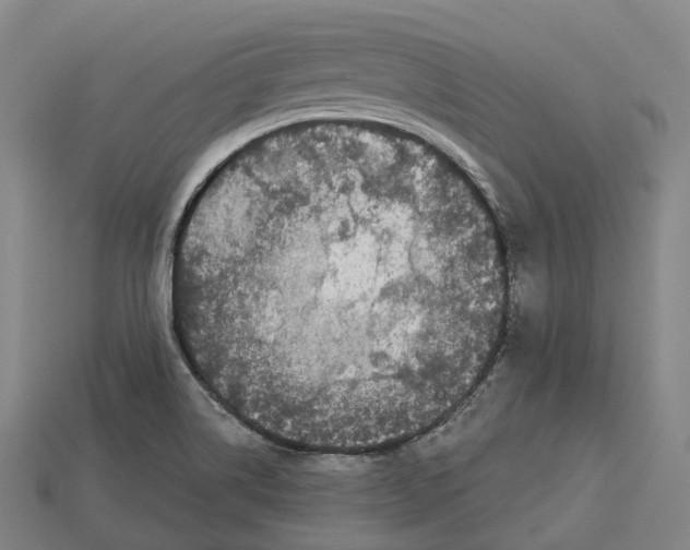 X0000113101514200909251021