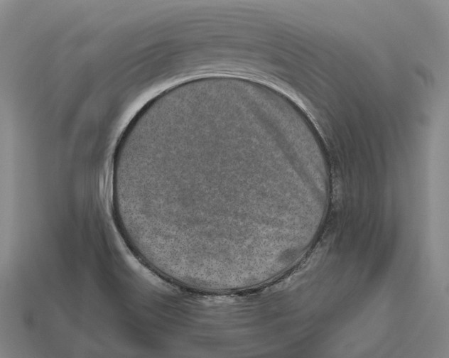 X0000113101515200909251021