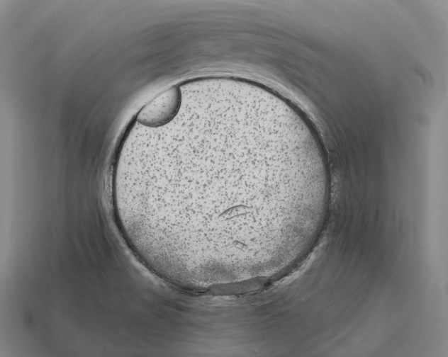 X0000113101517200909251021