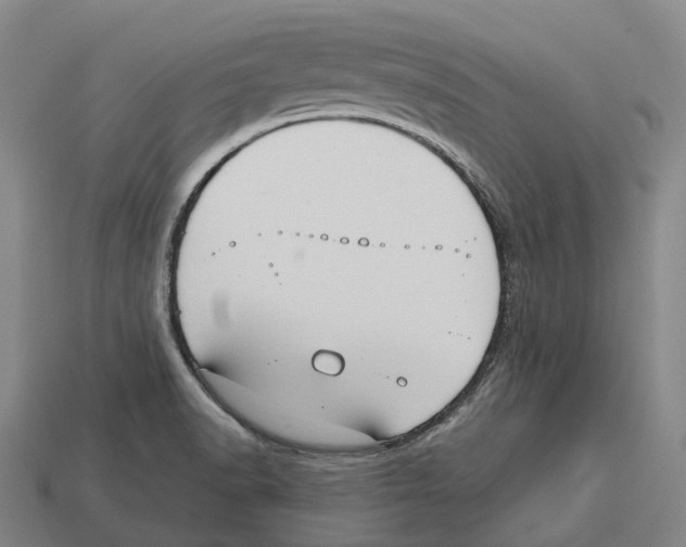 X0000113101518200909251021