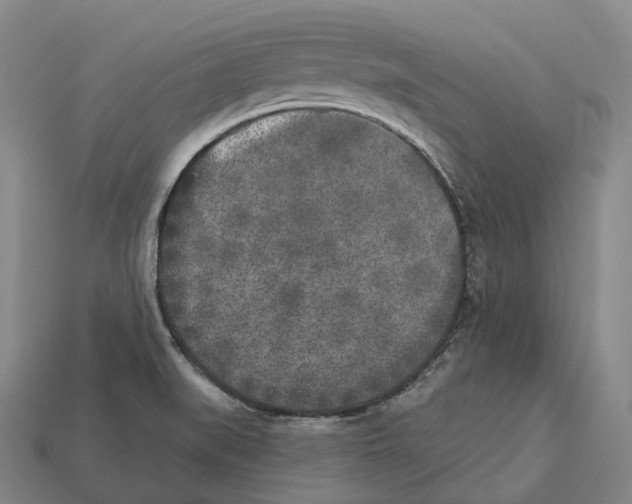 X0000113101519200909251021
