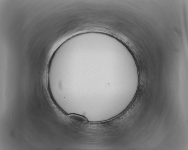 X0000113101520200909251021