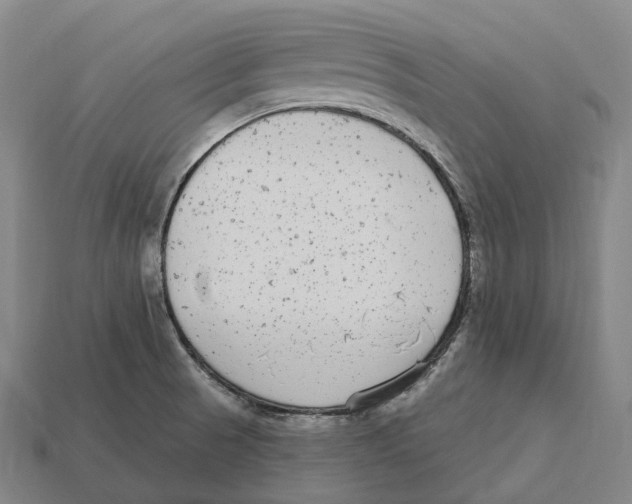 X0000113101521200909251021