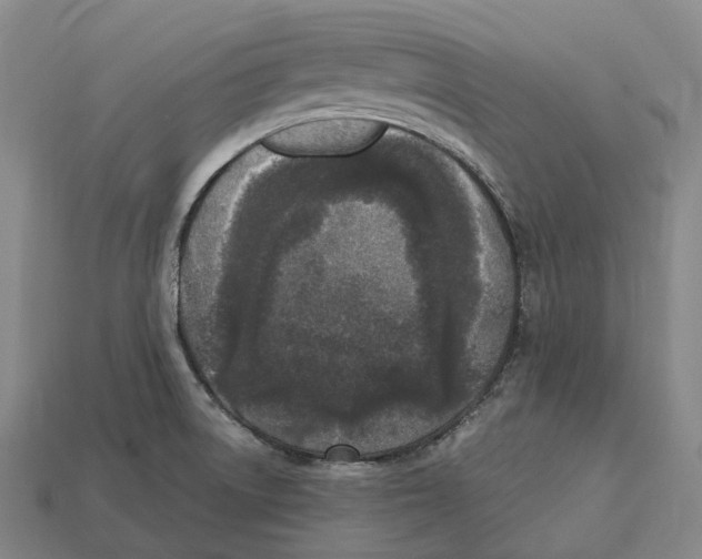 X0000113101522200909251021