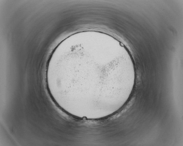 X0000113101525200909251021