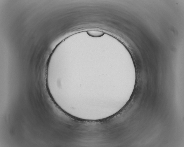 X0000113101526200909251021