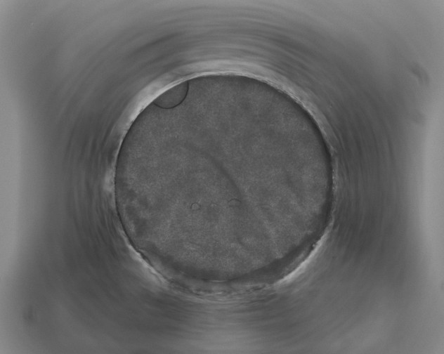 X0000113101529200909251021