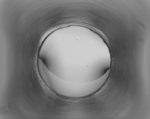 X0000113101530200909251021